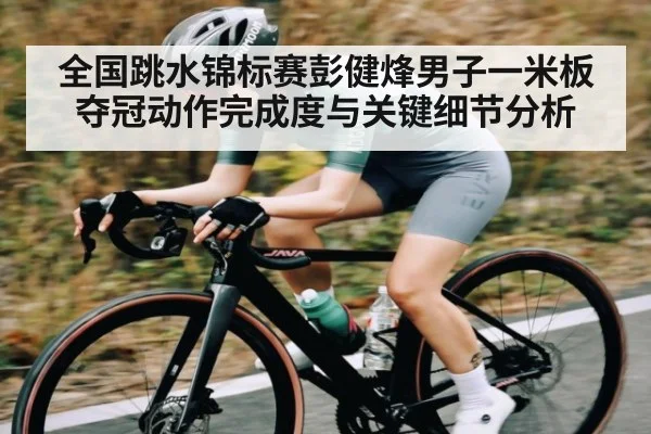 全国跳水锦标赛彭健烽男子一米板夺冠动作完成度与关键细节分析